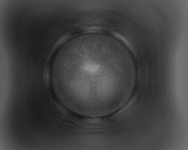 X0000100401403200806061306