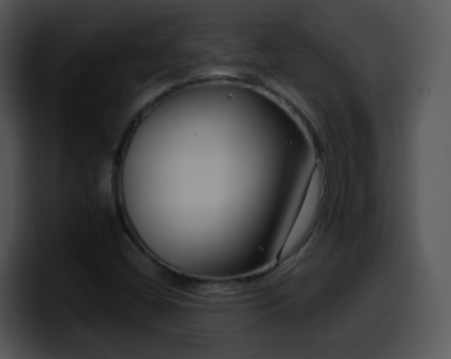 X0000100401404200806061306