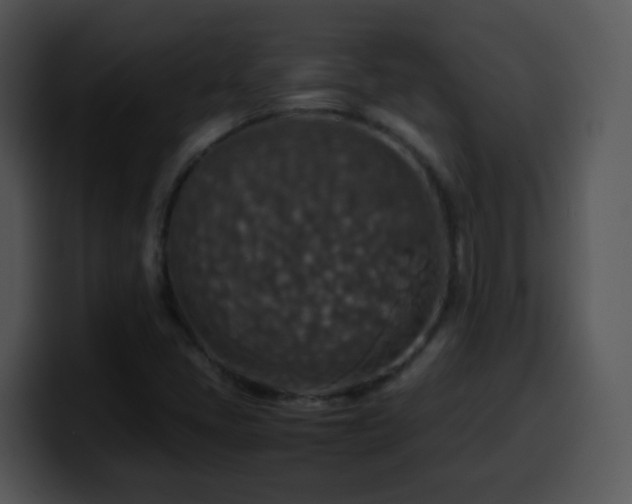 X0000100401405200806061306