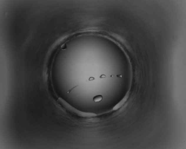 X0000100401406200806061306
