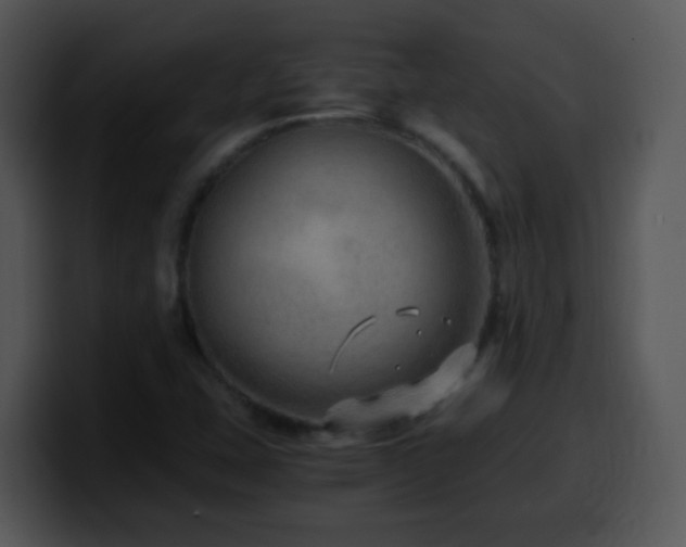 X0000100401407200806061306