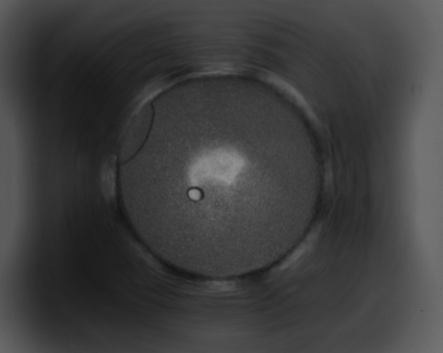 X0000100401409200806061306