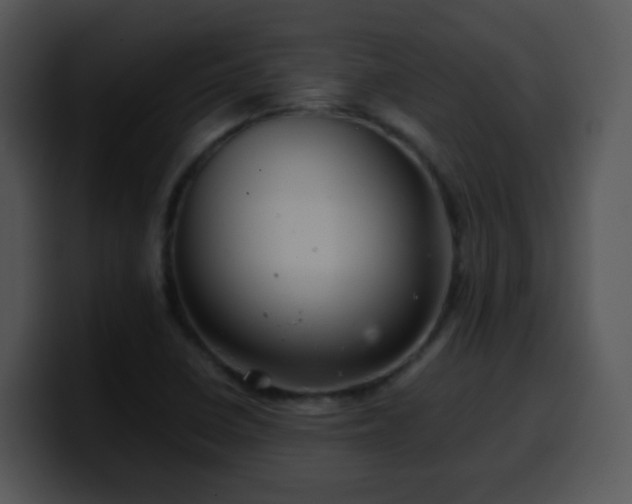 X0000100401410200806061306