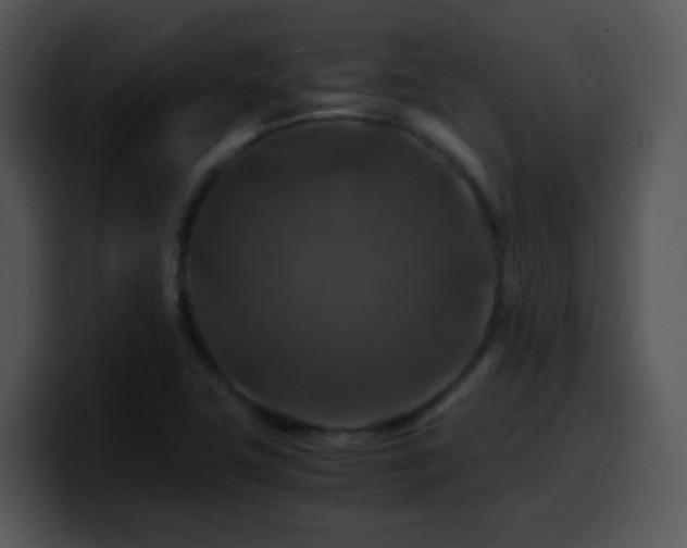 X0000100401411200806061306