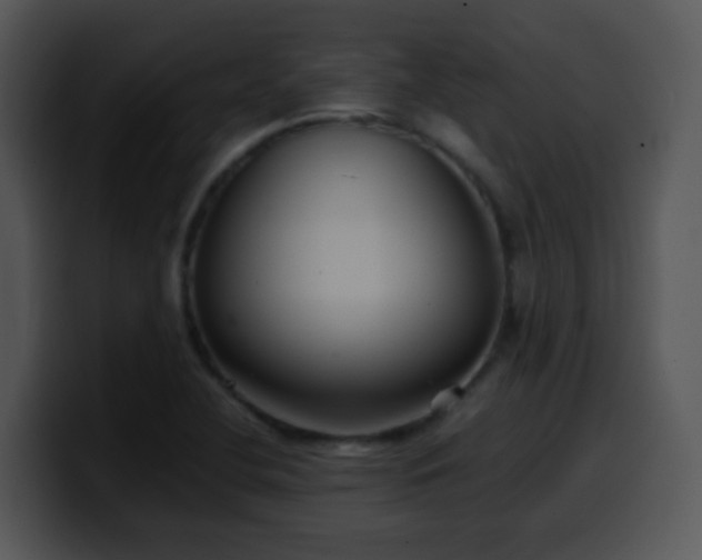 X0000100401412200806061306