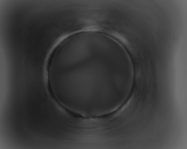 X0000100401414200806061306