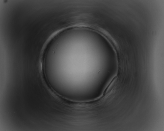 X0000100401416200806061306