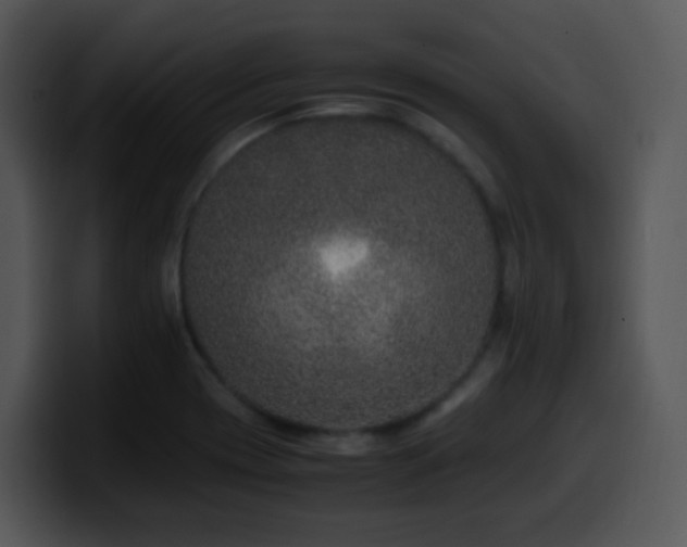 X0000100401417200806061306