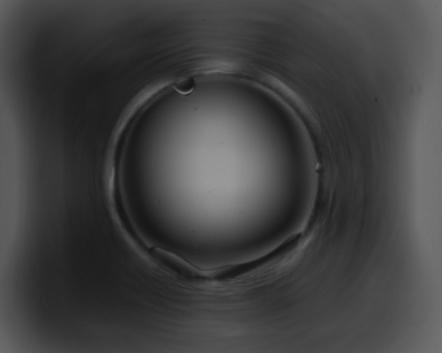 X0000100401418200806061306