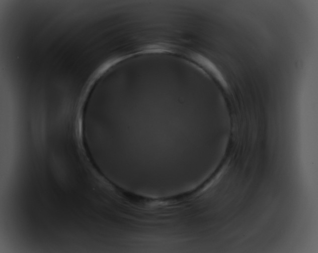 X0000100401419200806061306