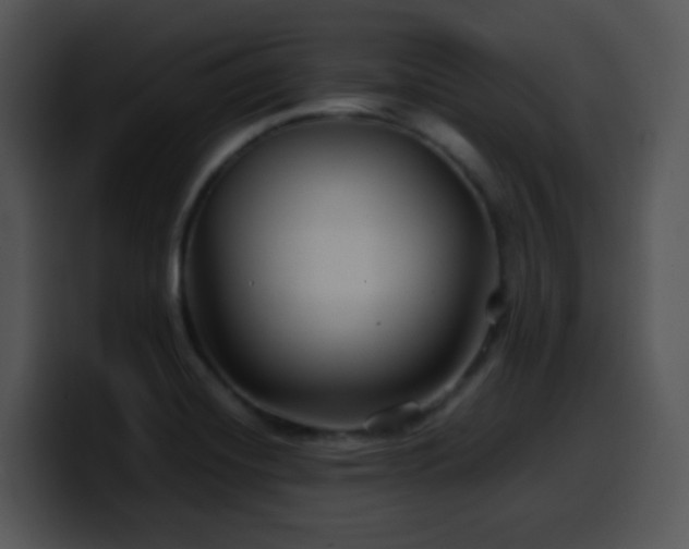 X0000100401420200806061306