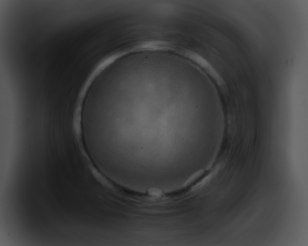 X0000100401421200806061306