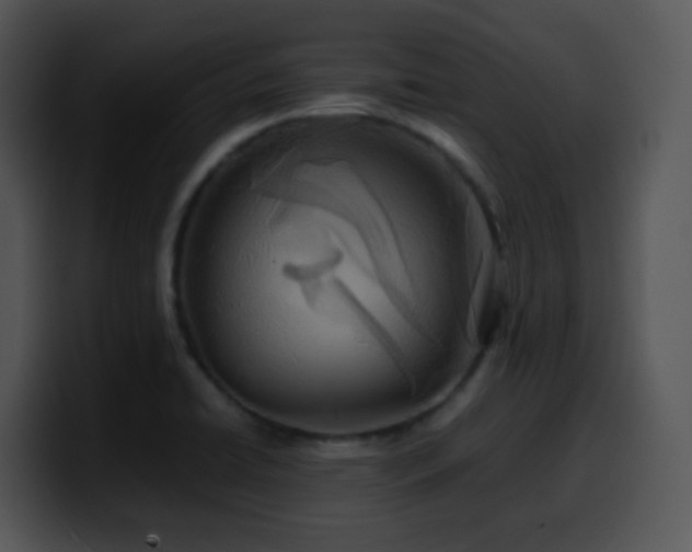 X0000100401422200806061306