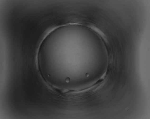 X0000100401423200806061306