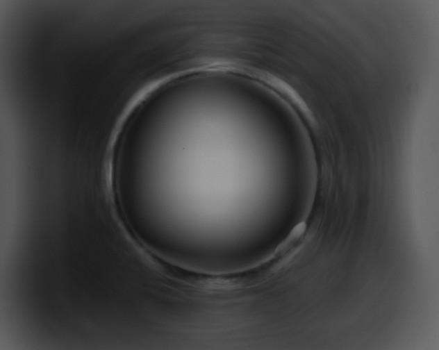 X0000100401424200806061306