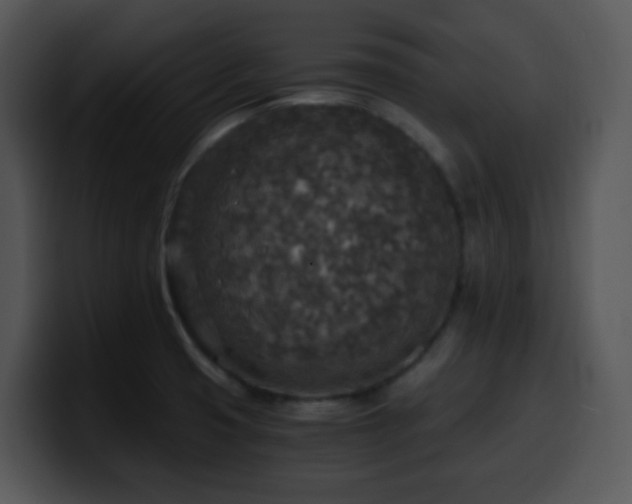 X0000100401425200806061306