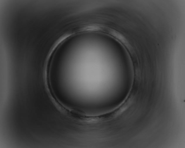 X0000100401426200806061306