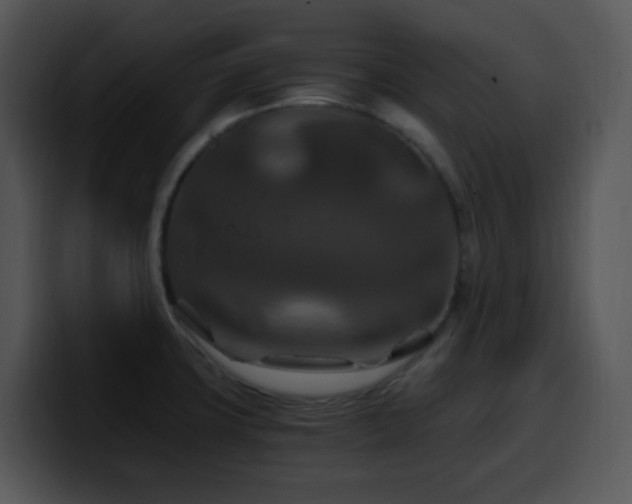X0000100401427200806061306