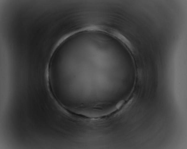 X0000100401428200806061306
