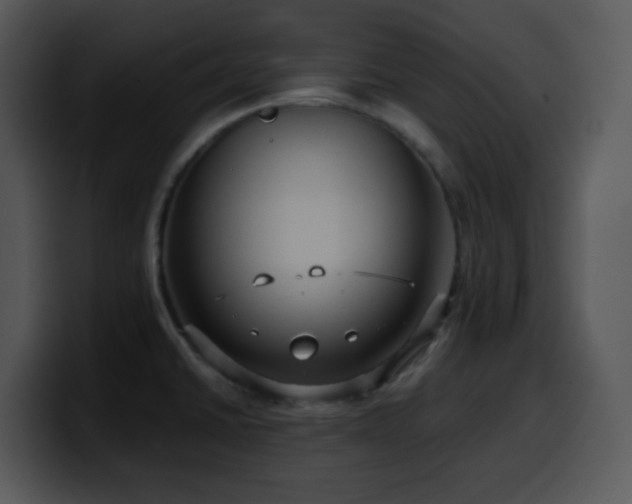 X0000100401430200806061306