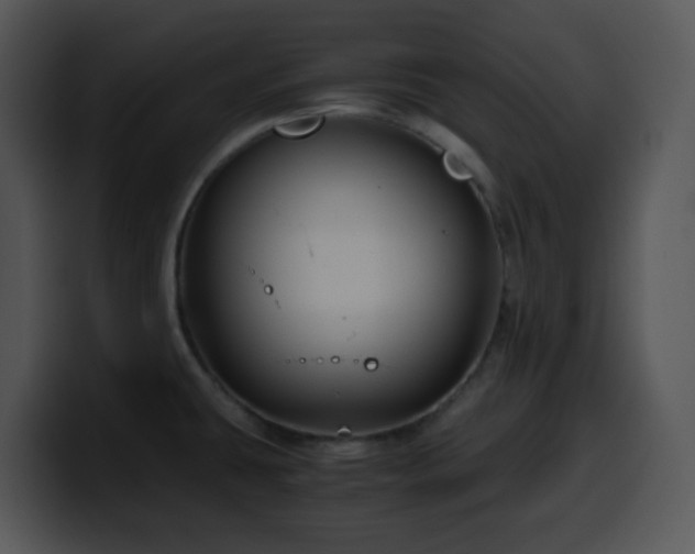 X0000100401431200806061306