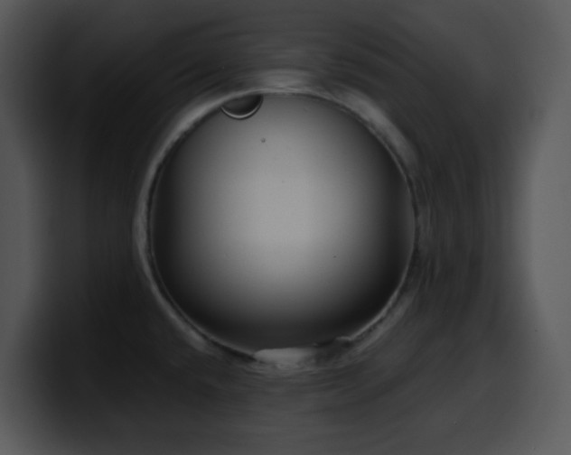 X0000100401432200806061306