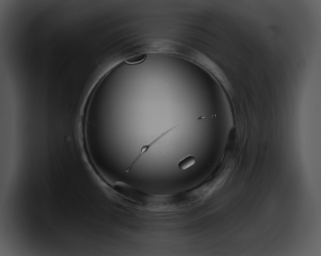 X0000100401434200806061306