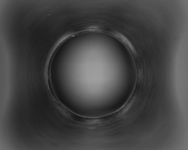 X0000100401435200806061306