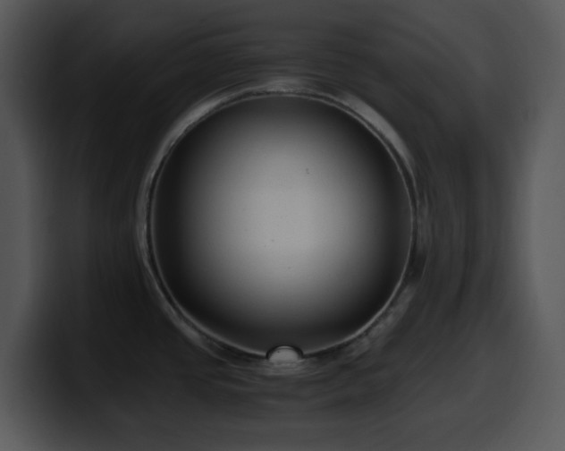 X0000100401437200806061306