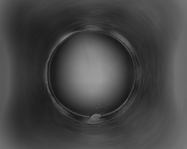 X0000100401439200806061306