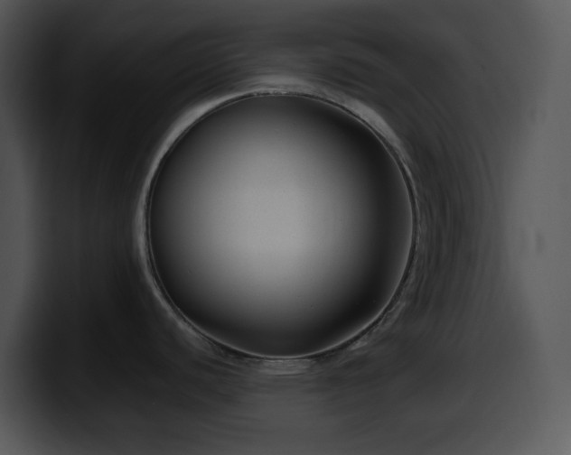 X0000100401440200806061306
