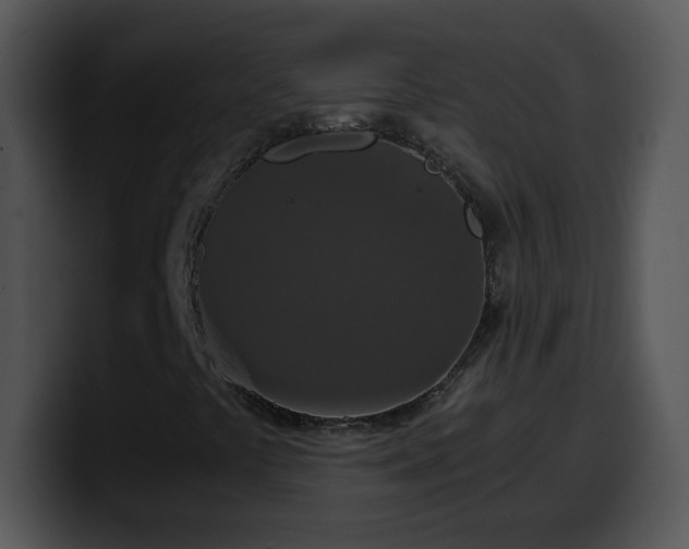 X0000100401441200806061306