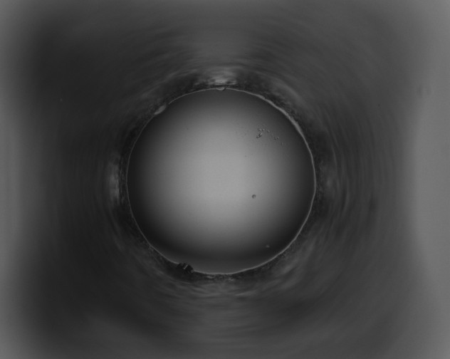 X0000100401442200806061306