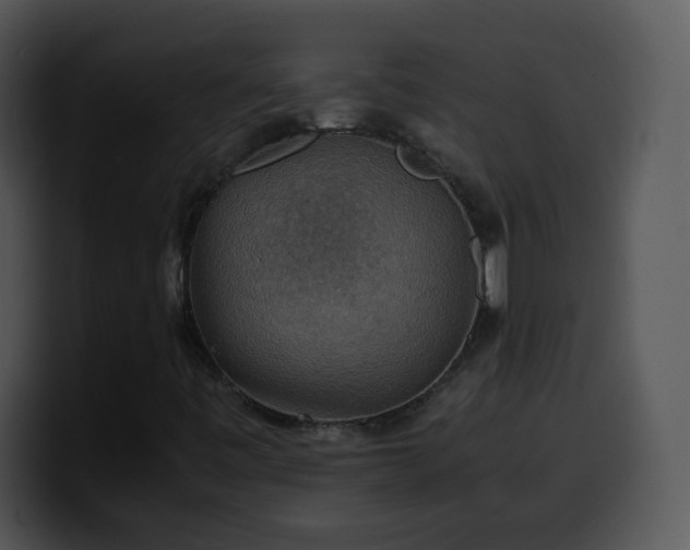 X0000100401443200806061306