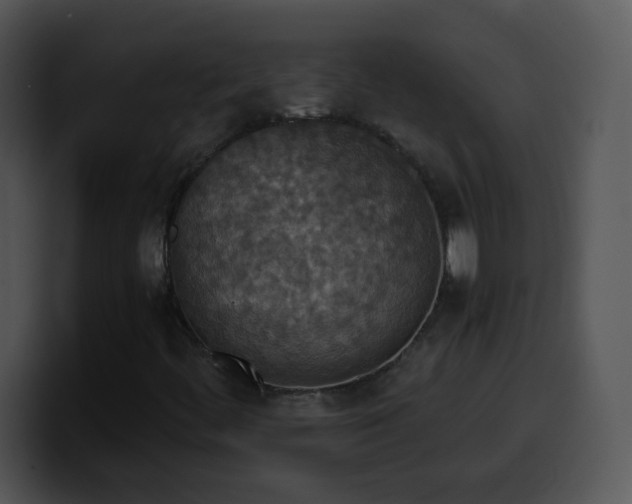 X0000100401444200806061306