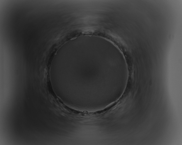 X0000100401445200806061306
