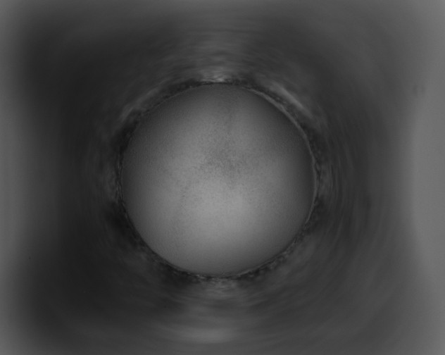 X0000100401446200806061306