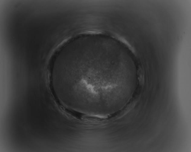 X0000100401448200806061306