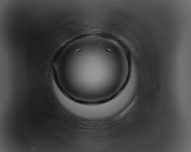 X0000100401449200806061305