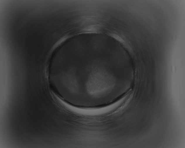 X0000100401450200806061305