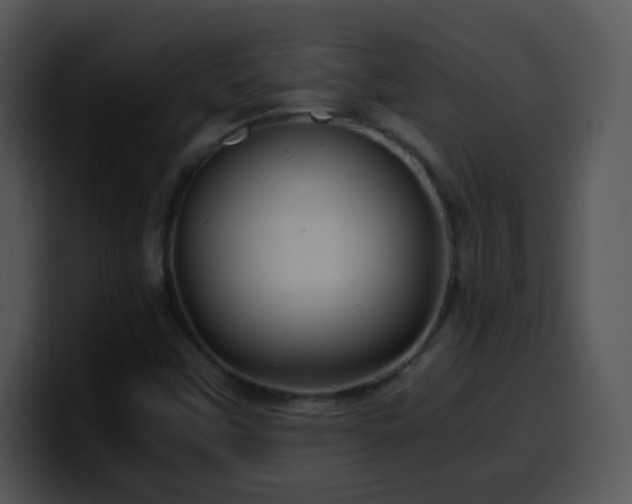 X0000100401451200806061305