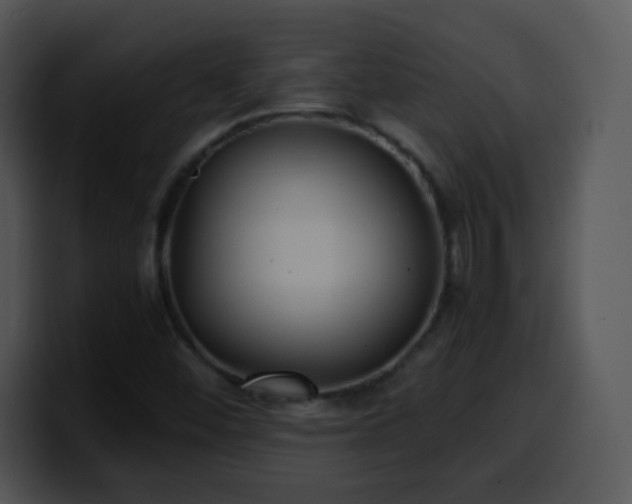 X0000100401452200806061305