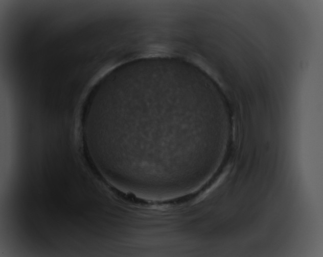 X0000100401453200806061305