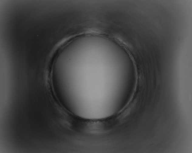 X0000100401454200806061305
