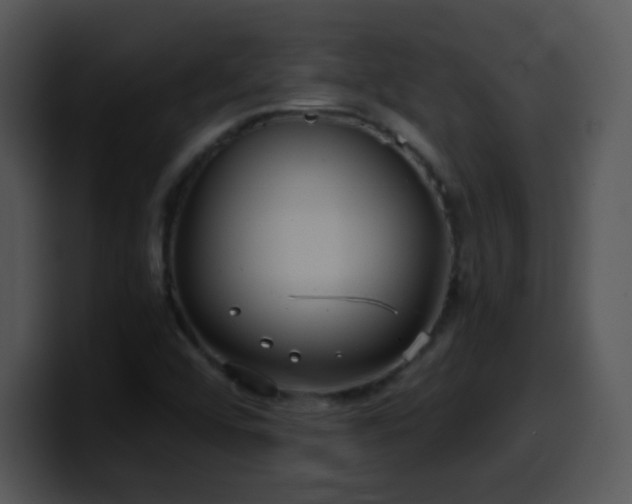 X0000100401456200806061305