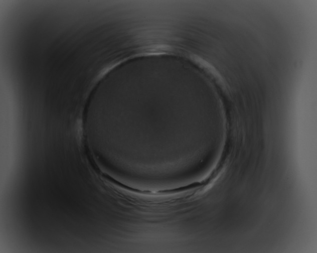 X0000100401457200806061305