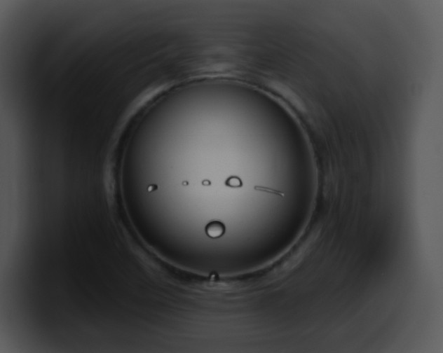 X0000100401458200806061305