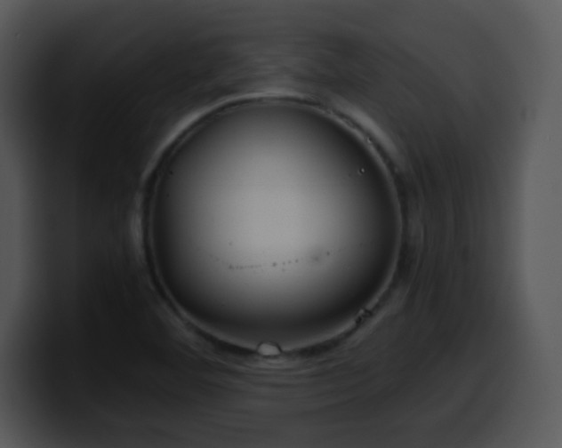 X0000100401460200806061305