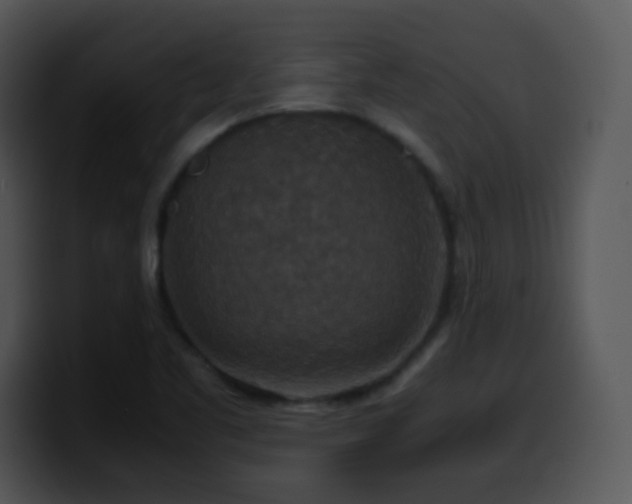 X0000100401461200806061305