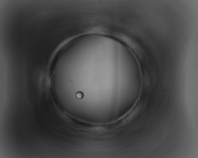 X0000100401462200806061305